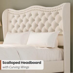 king queen size bed, queen bed, king bed, king size bed, queen size bed, velvet tufted wingback queen bed, cream beige upholstered platform bed frame, glam tufted queen bed with nailhead trim, tall headboard queen bed 50 inch