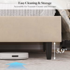 full size bed, full bed, queen king size bed, king queen size bed, queen bed, king bed, king size bed, queen size bed,